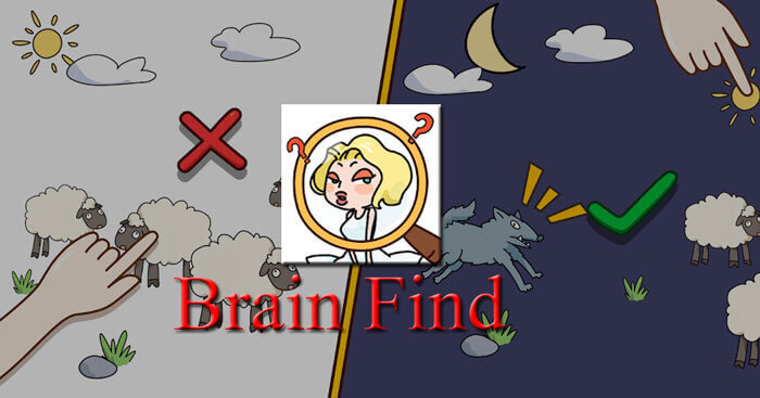 Brain Find