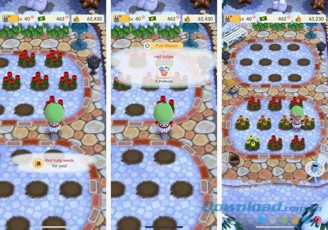 Giao phấn tạo hoa hiếm trong Animal Crossing: Pocket Camp
