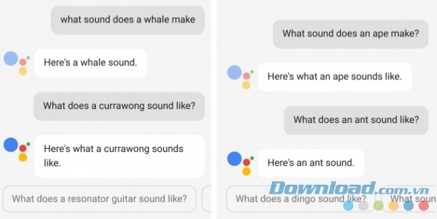 Hỏi âm thannh của cá voi qua Google Assistant