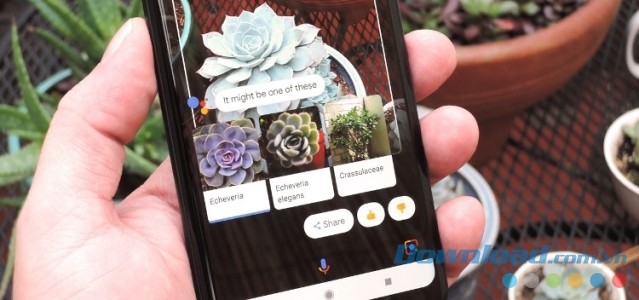 Google Lens tích hợp vào google photos cho ios