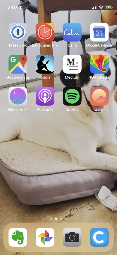Hình nền thú cưng đẹp cho iPhone