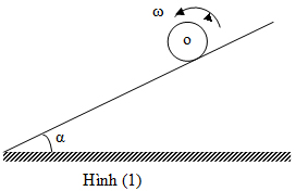 Đề thi học sinh giỏi Vật lý 12