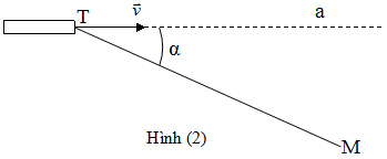 Đề thi học sinh giỏi Vật lý 12