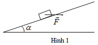 Đề thi học sinh giỏi lớp 10 THPT tỉnh Hải Dương năm học 2012 - 2013 môn Vật l