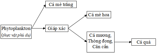 Đề thi tuyển sinh lớp 10 THPT chuyên tỉnh Phú Yên năm học 2012 - 2013 môn Sinh