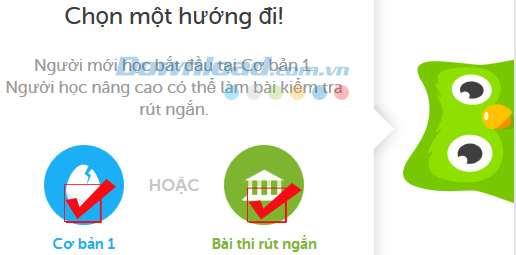 Học ngoại ngữ miễn phí với Duolingo