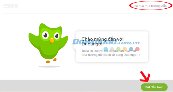 Học ngoại ngữ miễn phí với Duolingo