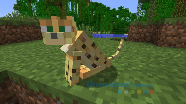 Bí quyết thuần phục mèo rừng, chó sói, ngựa trong Minecraft