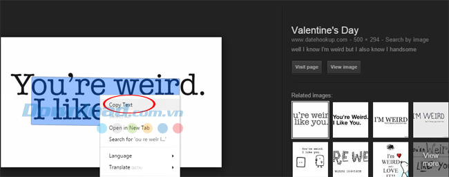 Cách sao chép text trong ảnh bằng Google Chrome