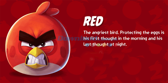 Cách chơi Angry Birds 2 đạt điểm cao nhất