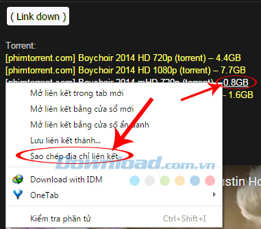 Cách tải file Torrent bằng Internet Download Manager (IDM)