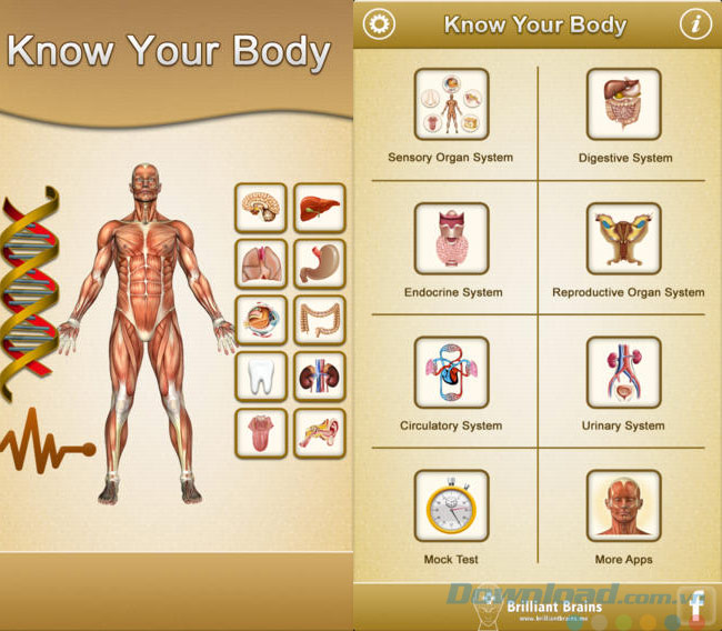 Know your body