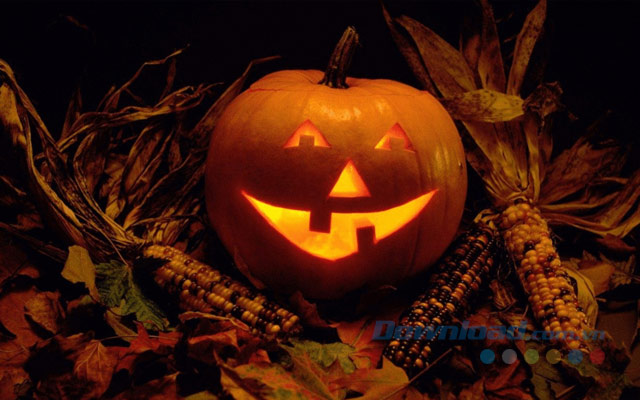 Hình Nền Bí Ngô Halloween Hd | Nền JPG Tải xuống miễn phí - Pikbest