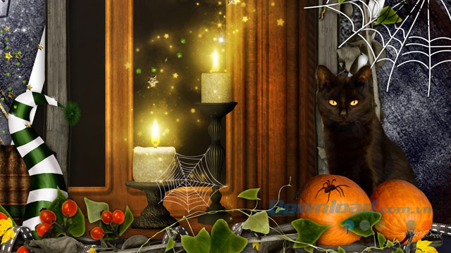 Ảnh Halloween kinh dị đáng sợ nhất đẹp nhất  Bí ngô cute