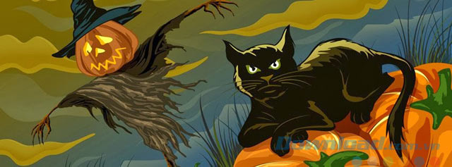 Hình ảnh chú mèo đen