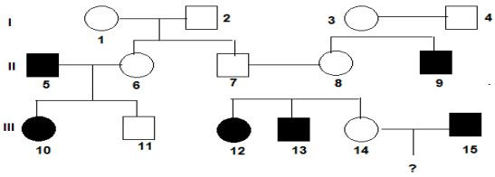 Đề thi thử THPT Quốc gia năm 2017 môn Sinh học 