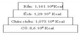 Đề thi thử THPT Quốc gia năm 2017 môn Sinh học