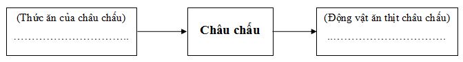 Đề thi học kì 2 môn Khoa học lớp 4 theo Thông tư 22