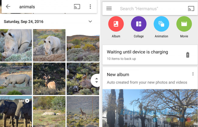 Google Photos