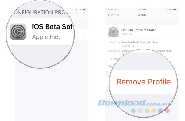 Nhấp vào iOS Beta Software Profile > Remove Profile.
