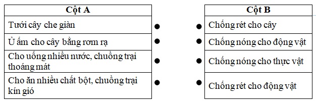 Đề thi học kì 2 môn Khoa học lớp 4