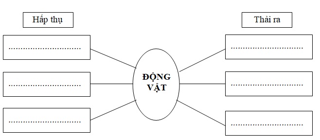 Đề thi học kì 2 môn Khoa học lớp 4