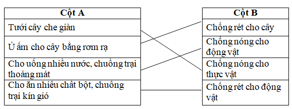 Đáp án đề thi học kì 2 môn Khoa học lớp 4