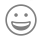 icon emoji