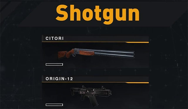 Shotgun