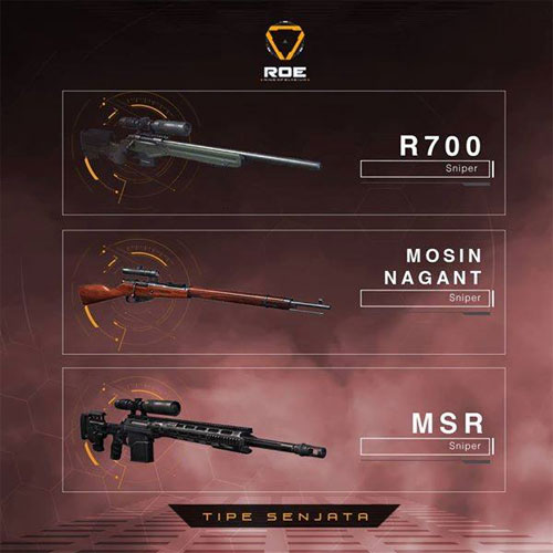 ROE Weapons