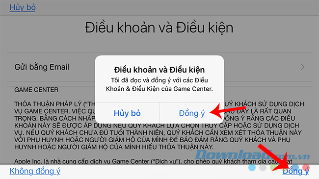 Đồng ý điều khoản