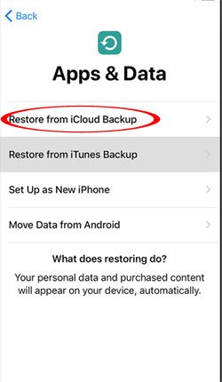 Restore iPhone