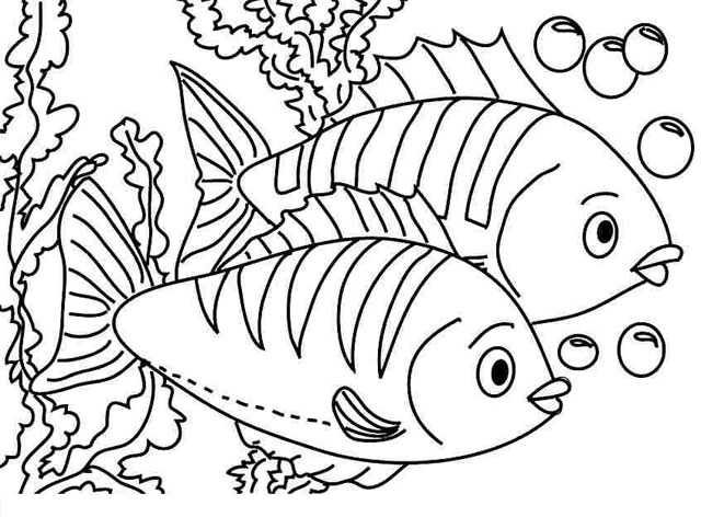 Tranh tô màu con cá cho bé - Bộ sưu tập tranh tô màu cực đẹp cho trẻ