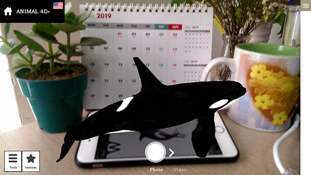 Hình ảnh cá voi 4D trên màn hình điện thoại