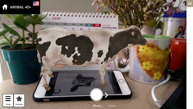 Bò sữa 4D khi quét bằng ứng dụng Animal 4D