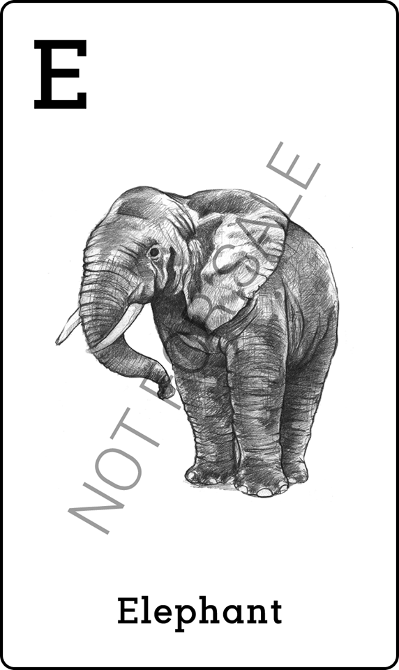 Hình ảnh thẻ động vật 4D để quét - Con voi