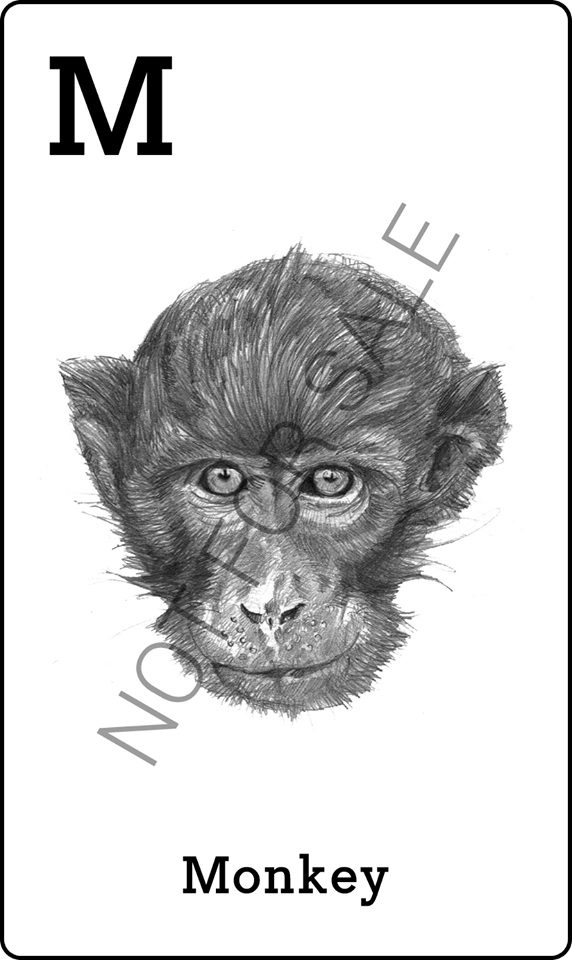 Hình ảnh thẻ động vật 4D để quét - Con khỉ