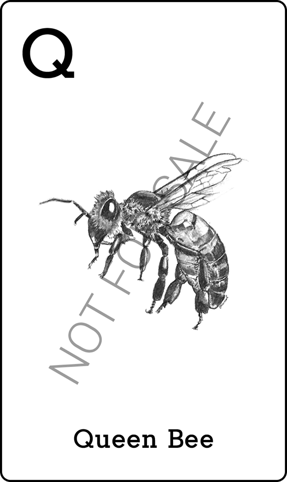 Hình ảnh thẻ động vật 4D để quét - Con ong chúa