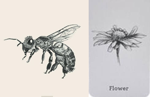 Ảnh ghép ong và hoa 4D