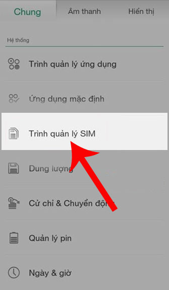 Nhấn vào Trình quản lý Sim