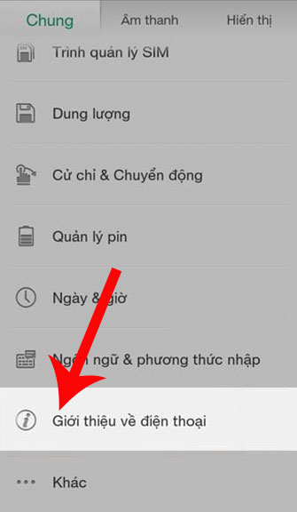 Nhấn vào mục Giới thiệu điện thoại