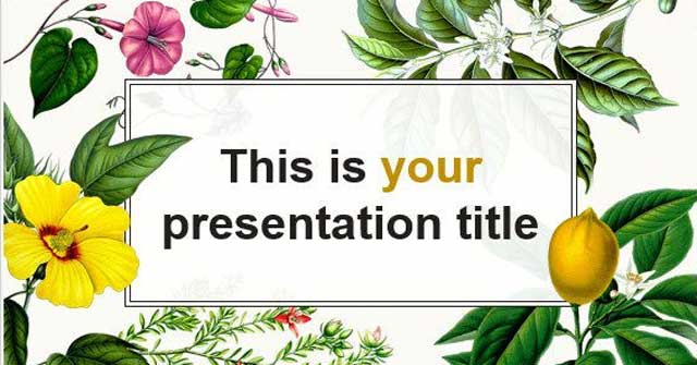 Mẫu slide Powerpoint bài giảng đẹp nhất - Download.vn