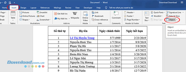 Chèn file Excel thông qua tính năng chèn bảng