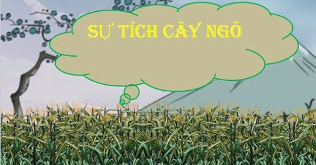 Sự tích cây Ngô