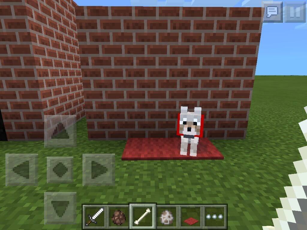 Đặt sói vào thảm trong Minecraft 