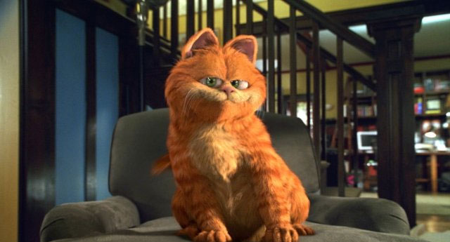Chú mèo Garfield