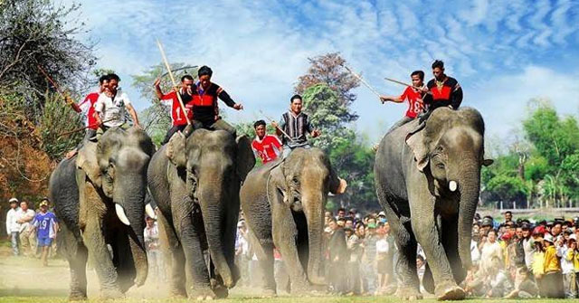Thuyết minh về lễ hội đua voi ở Tây Nguyên