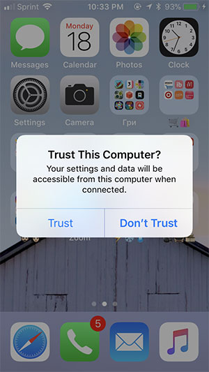 Khi được nhắc trên iOS, chọn Trust