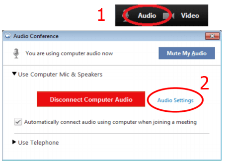 Trong Zoom, chọn Audio > Audio Settings