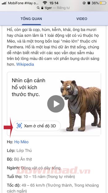 Cách Xem Con Vật 3D Trên Google Search: Khủng Long, Sư Tử, Mèo, Ngựa, Cá  Mập...